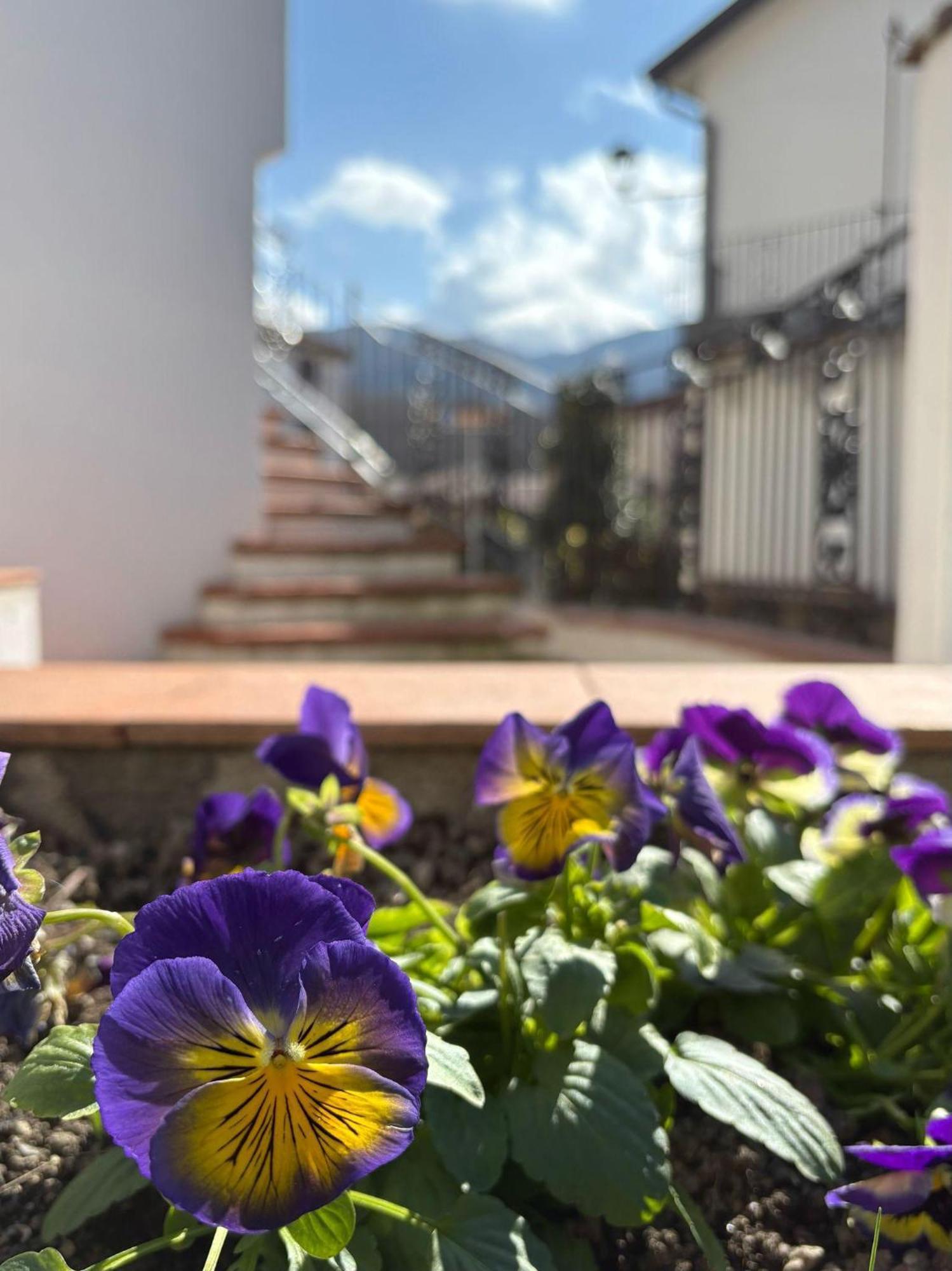 Albori Apartment San Severino Lucano Ngoại thất bức ảnh